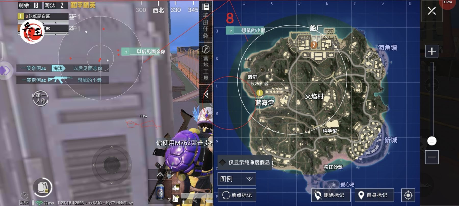 和平精英辅助软件的发展与影响分析